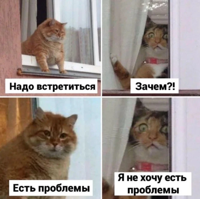 ДНЕВНИК КОТА
Дратуй, дарагой дневник! Запомни, никогда не еш целую банку шпрот. Они катюгарически не