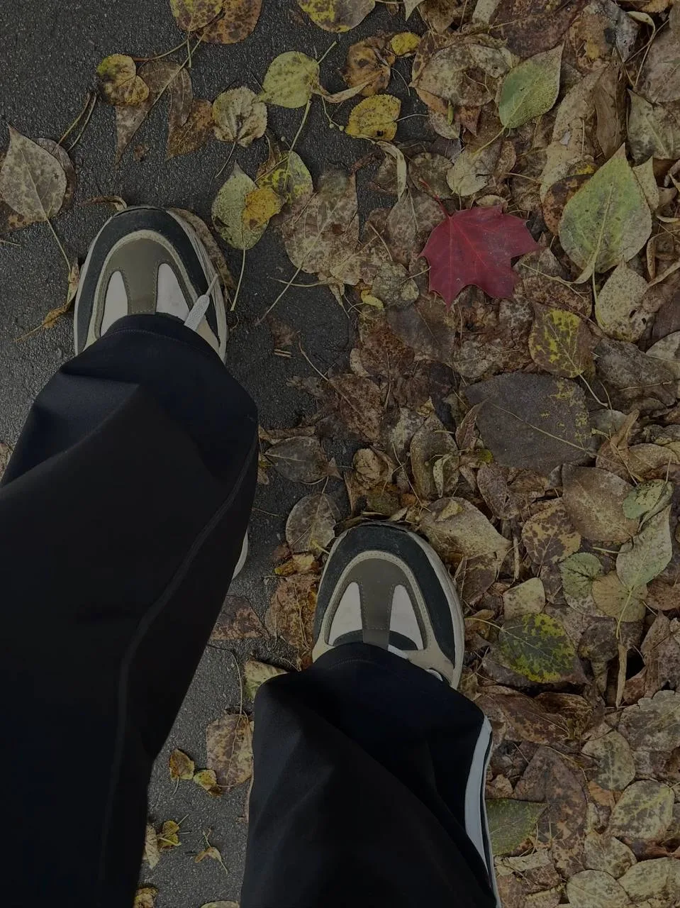 Ну а лето проводили - начинаем сентябрь 🍂