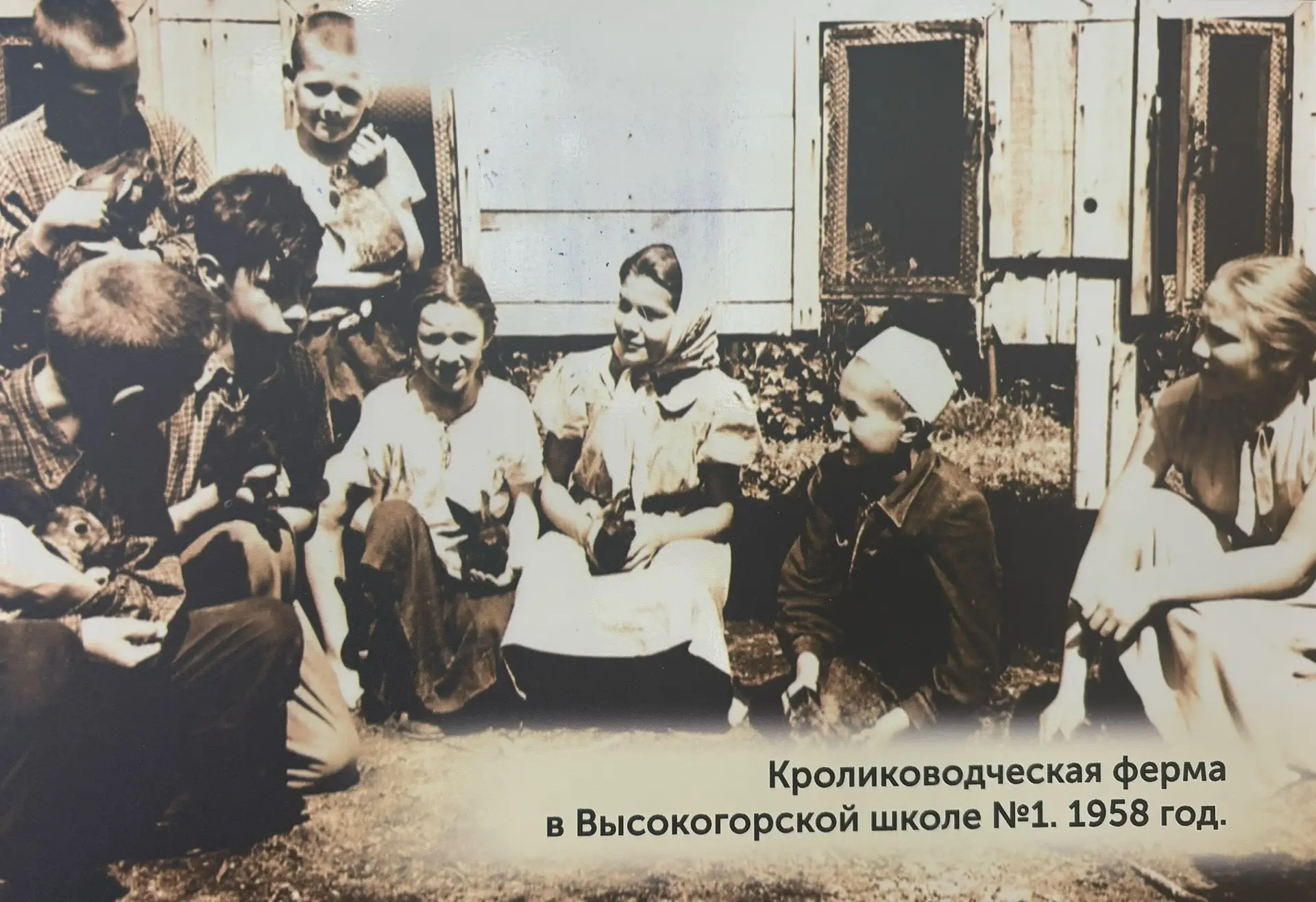 🌾🚜 Труд всегда был основой воспитания человека. Давайте вспомним, как это работало на деле много д