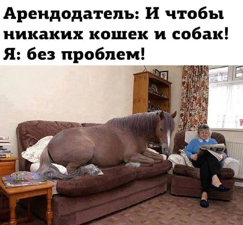 Хиханьки Да Хаханьки • подписаться
