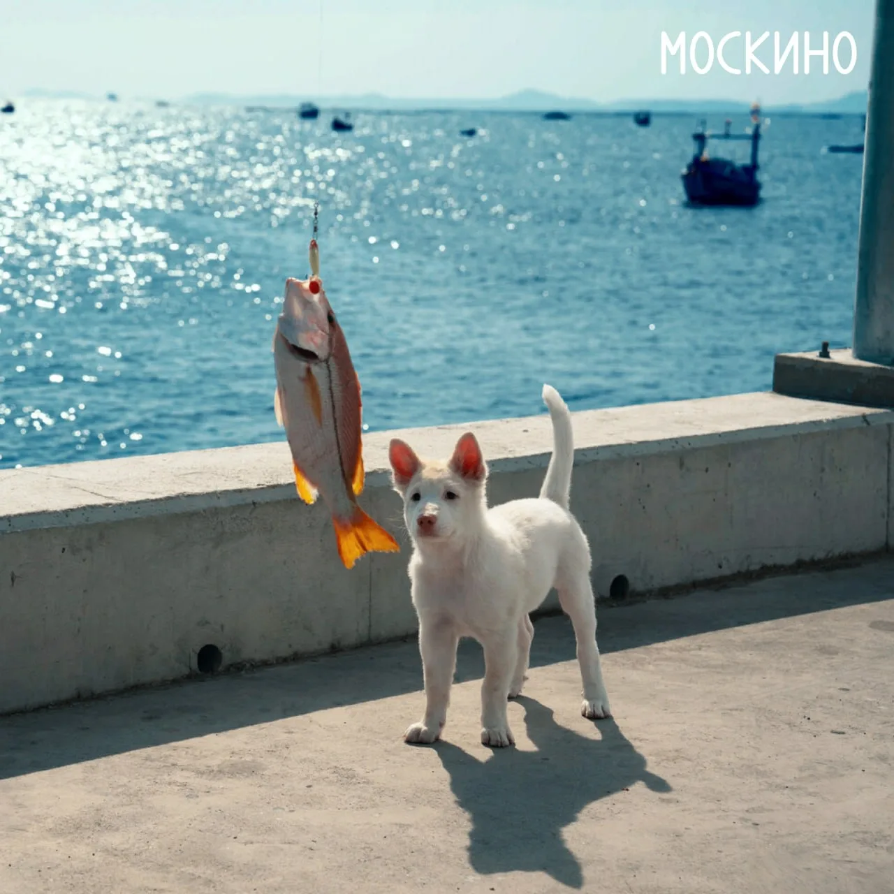 Прогулка, которая превратится в настоящее приключение 🐕