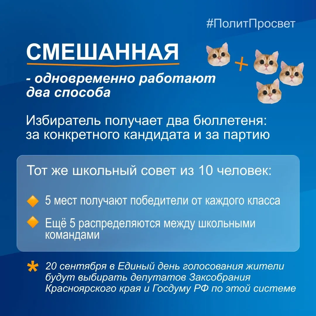 Как в России выбирают депутатов?
Сегодня котики-политотики в еженедельной рубрике #политпросвет позн