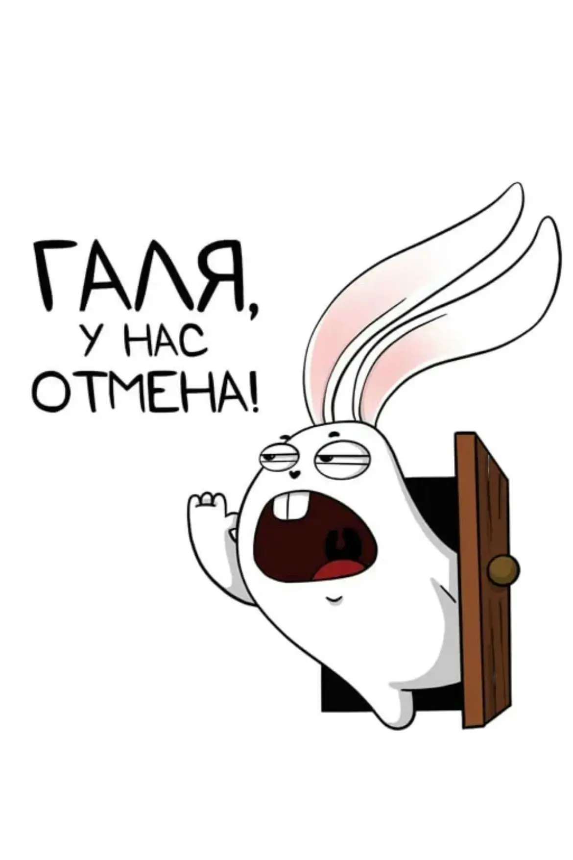 Кинолужайка мокрая, погоды нет, конкурсы дурацкие, фильм скучный. Встречаемся в следующий четверг, в