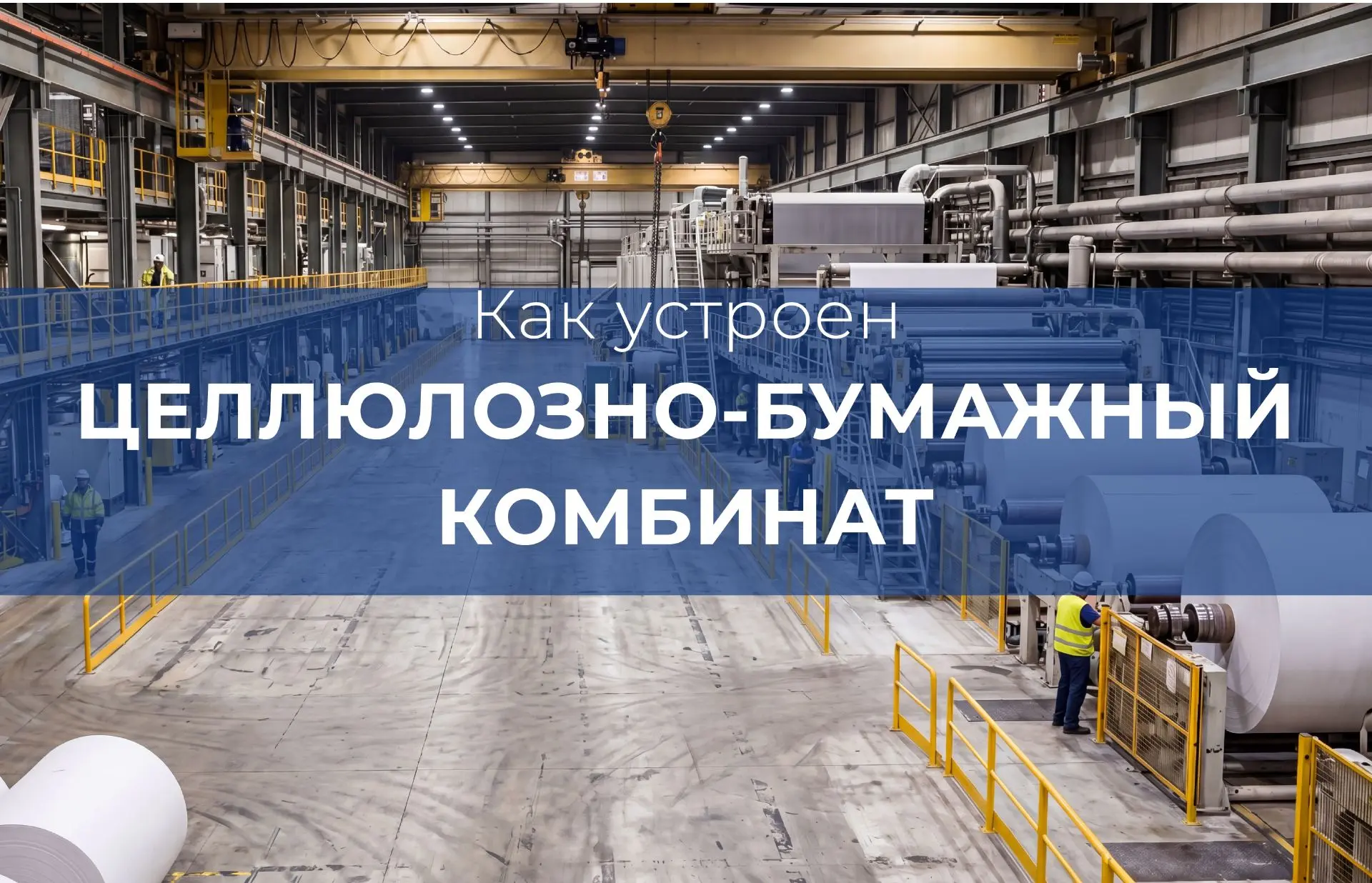 🏭 Газоанализаторы для целлюлозно-бумажных комбинатов (ЦБК)