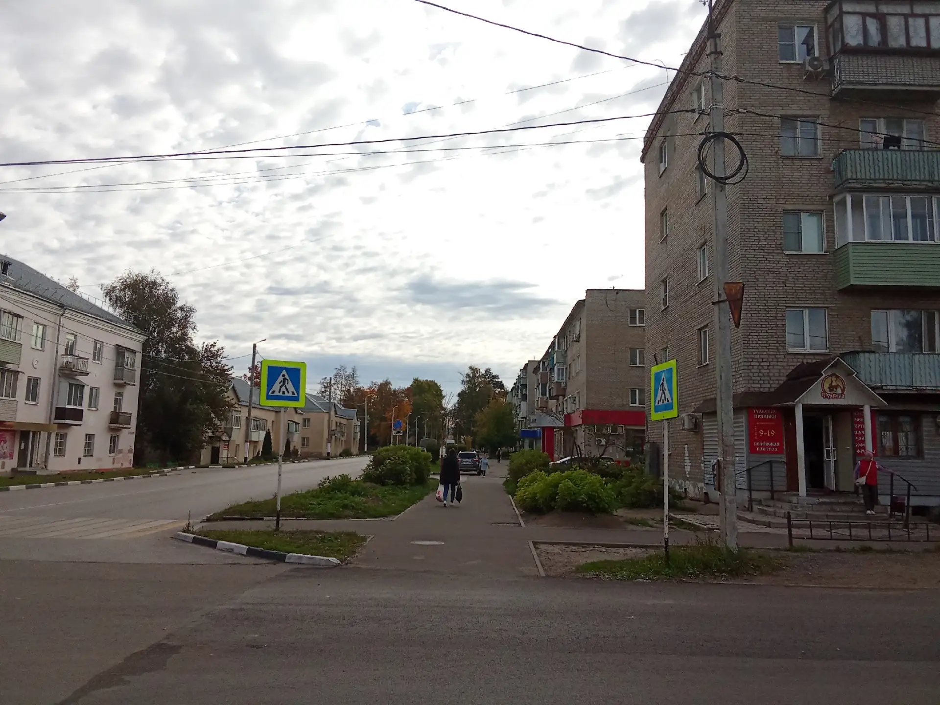 Продолжается грандиозная опиловка кустов и деревьев по всему городу. Возле Тулячки на П...