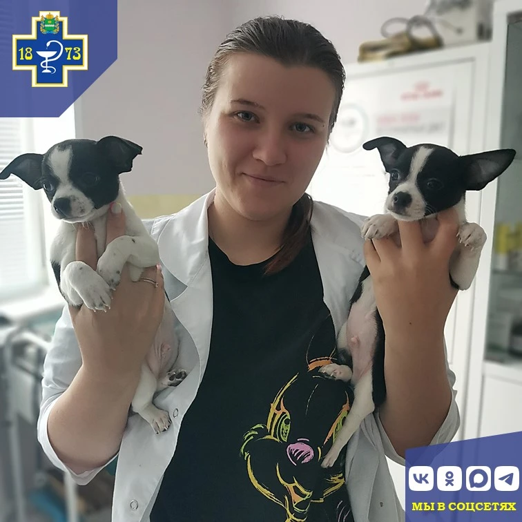 🐾 Ветеринарные будни специалистов Сухиничского отдела ГБУ КО "Сухиничская межрайонная ...