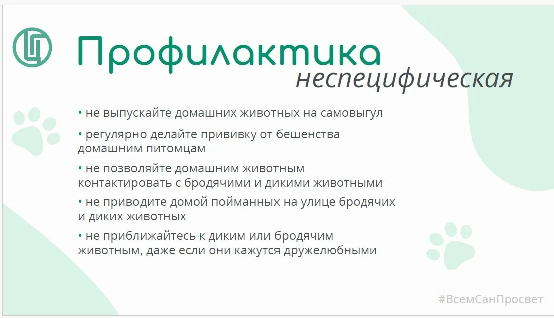 Прививки питомцам от бешенства Бешенство – неизменно смертельное вирусное заболевание для животных и