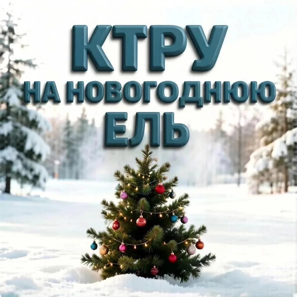 🎄 До Нового года осталось всего ничего! Пора публиковать закупки на новогодние ели!
