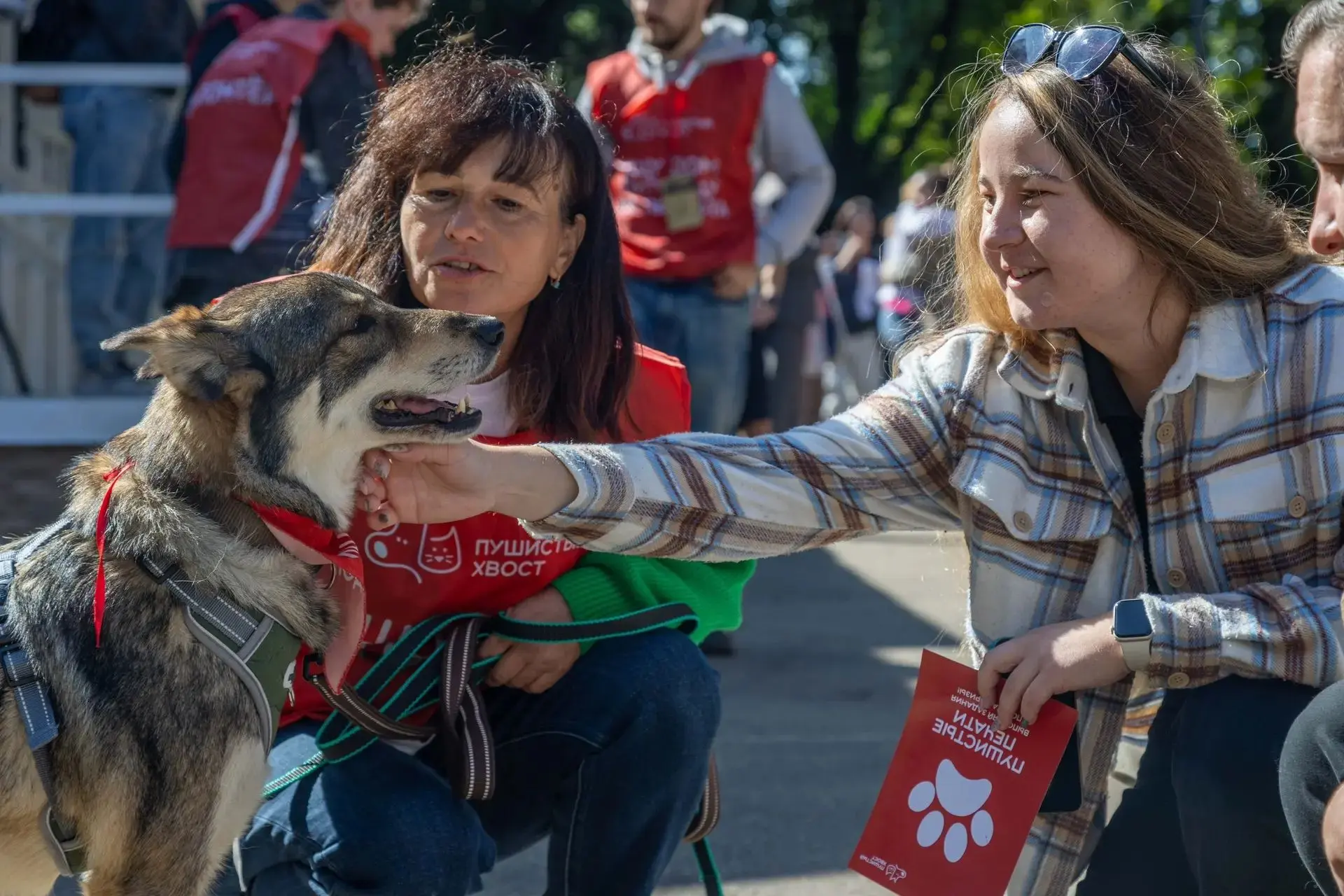 #Выпускники_Доринвест: 28 поводов для тёплых новостей! 🐾