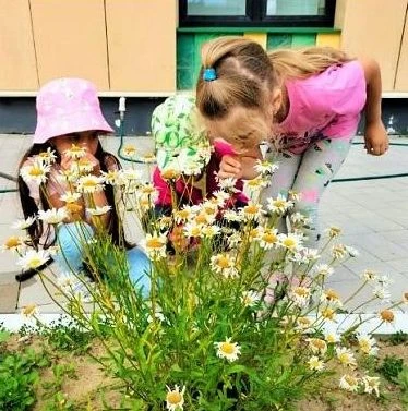Наблюдения за цветущими растениями 🌺🌼🌸🥀🌹
   Воспитатели МБОУ СОШ №6     
ДО29 и 29/1 проводят и