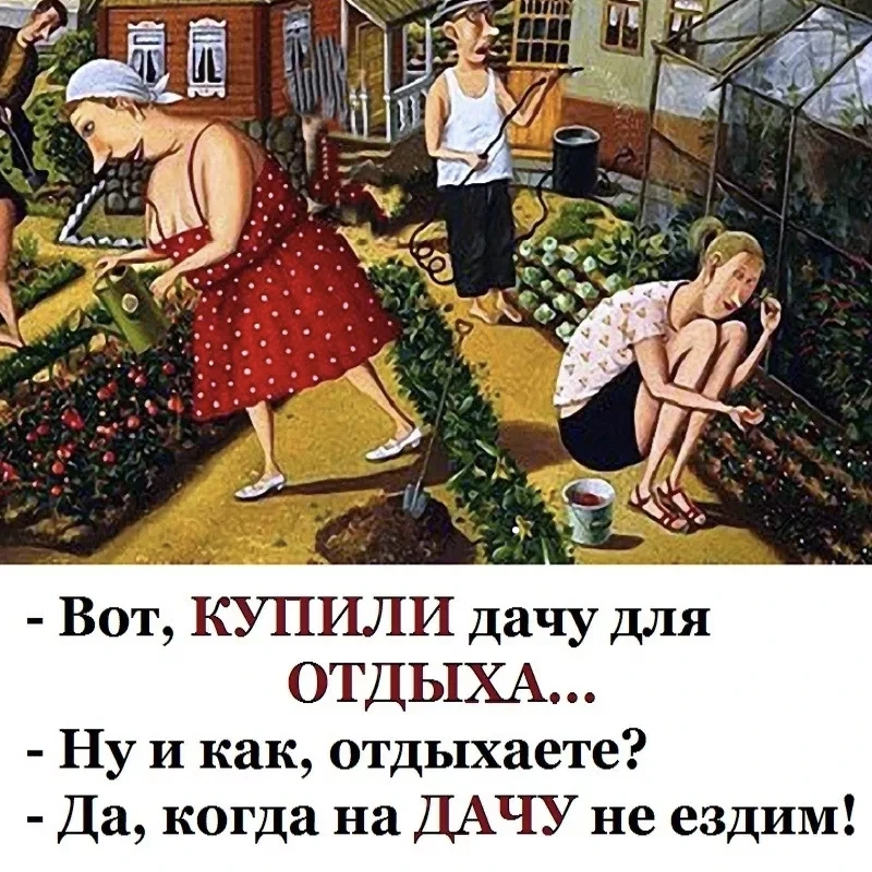 Друзья, а сегодня же день дачника!!!Поздравляю всех, кто любит трудиться на земле, наслаждаясь плода