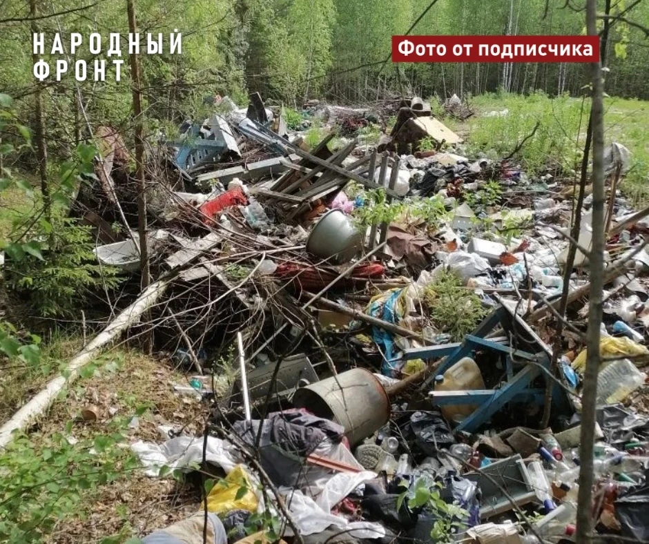 В села выходят медведи и волки. Прокуратура обязала местные власти убрать свалки в лесах Каргасокско