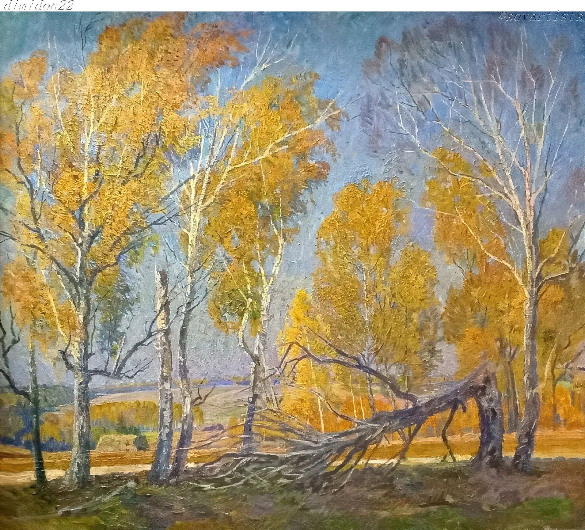 Солдатенков Игорь Алексеевич (23.10.1934, Нижнее Хорошово Московской области - 31.01.20...