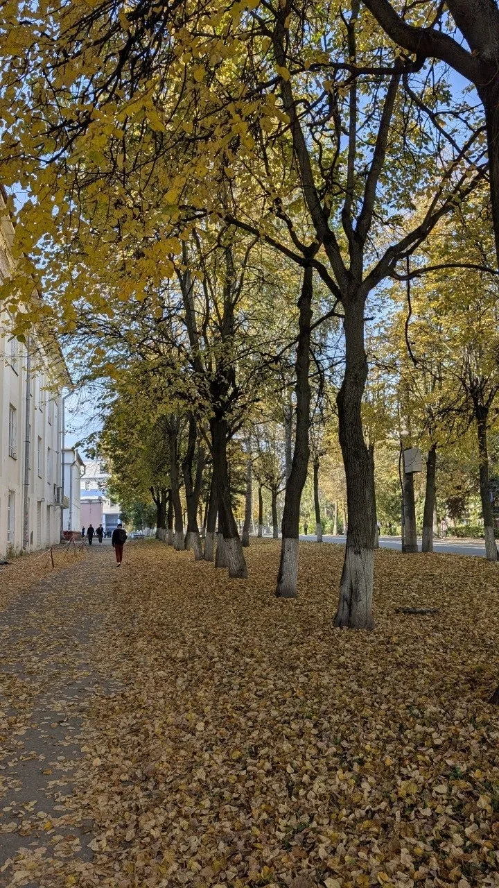 Доброе утро! ☀️