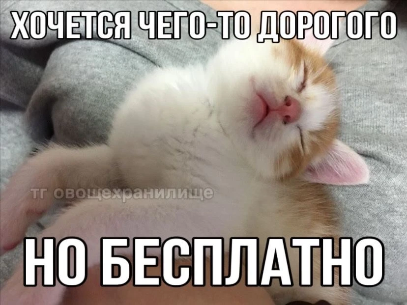 Всегда…..