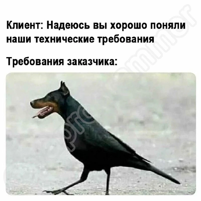 DevHumor