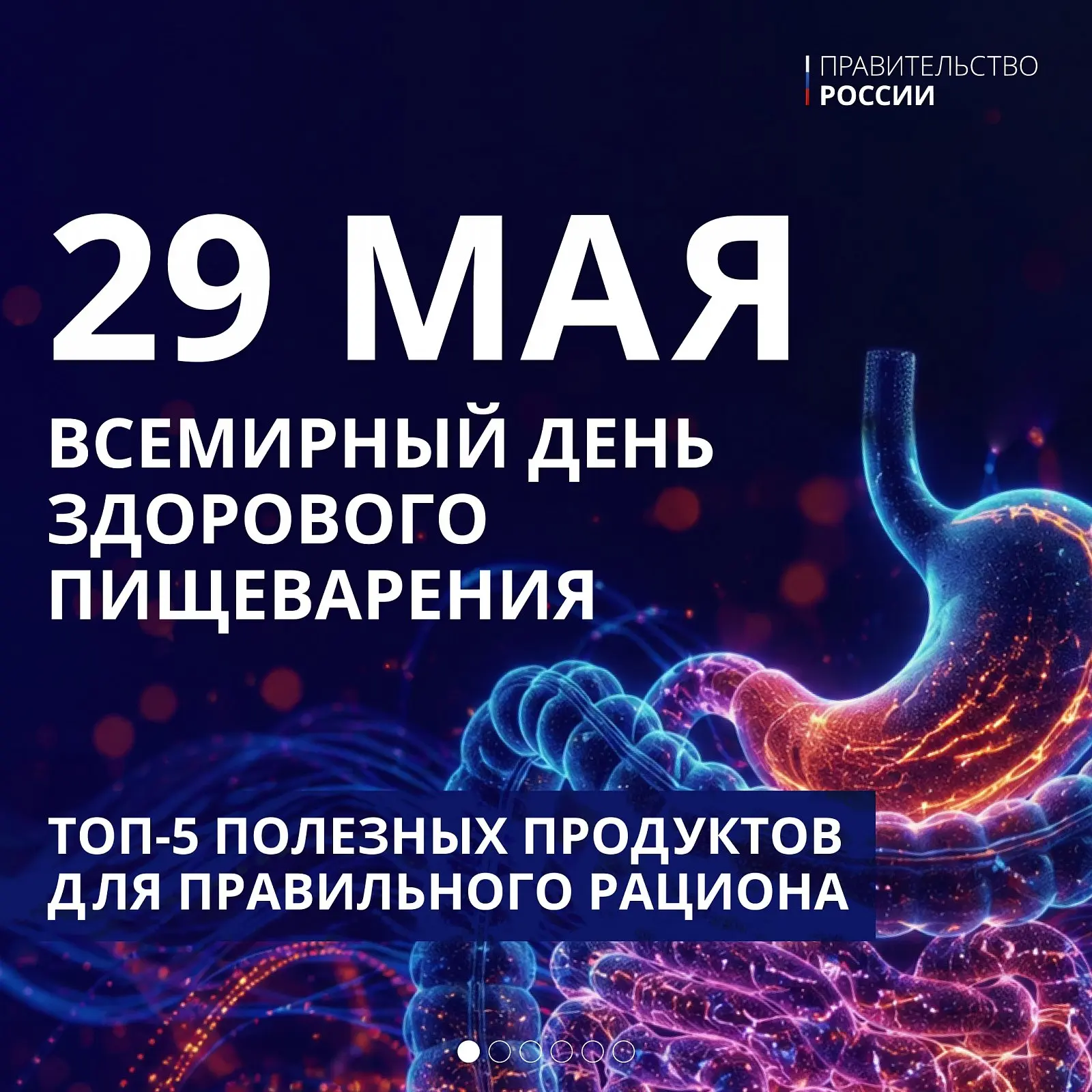 Всемирный день здорового пищеварения

29 мая – Всемирный день здорового пищеварения.

Правильное пит