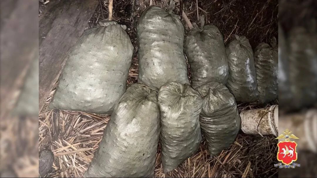 🦞 В Татарстане задержали отца и сына — браконьеры выловили более 12 тысяч раков