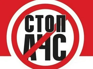 Африка́нская чума́ свине́й — высококонтагиозная вирусная болезнь свиней, характеризующаяся лихорадко