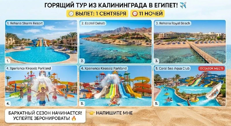 ⭐️ВНИМАНИЕ: ОСТАТКИ МЕСТ НА ВЫЛЕТ 1 СЕНТЯБРЯ!🇪🇬
