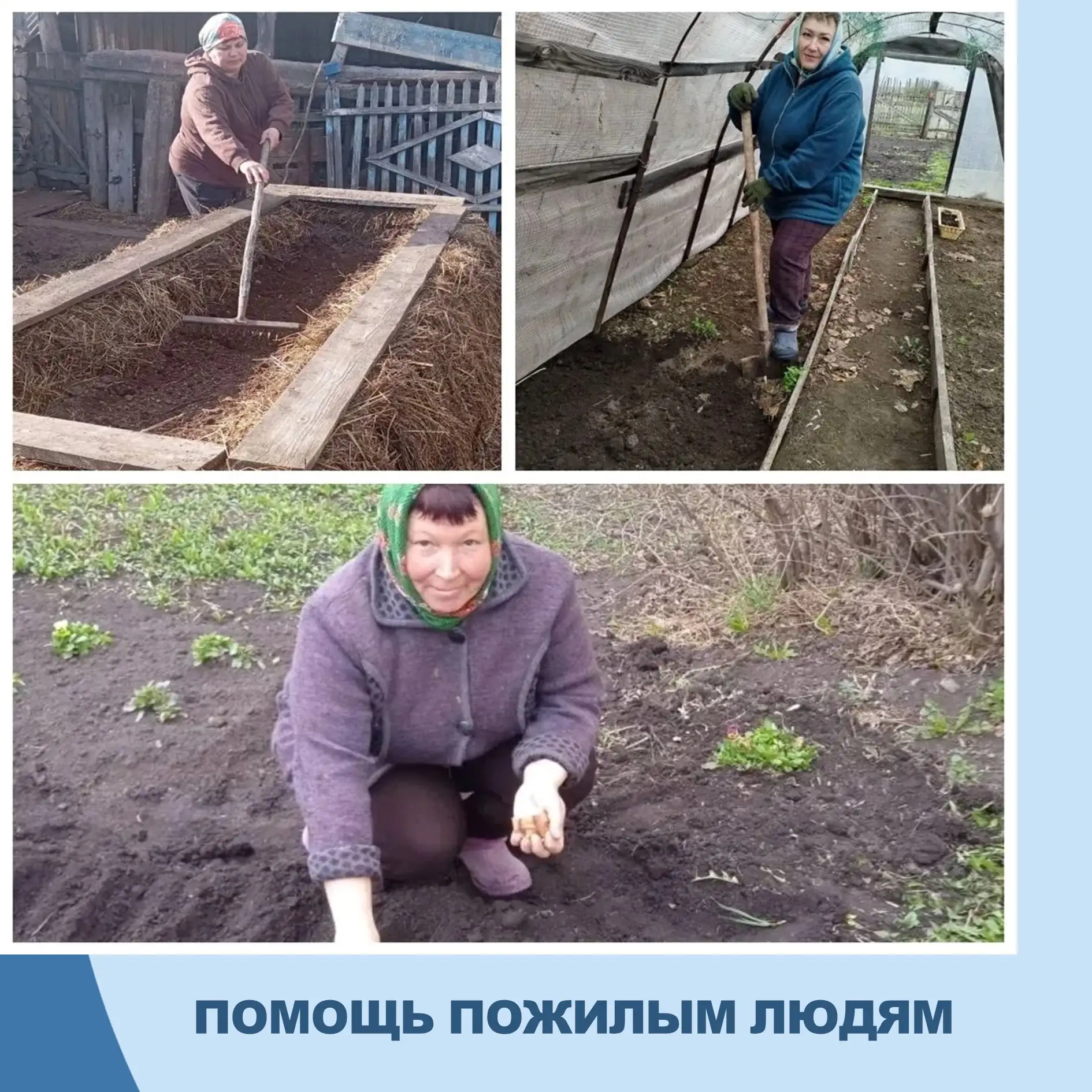Выбор правильного времени для посева и высадки напрямую влияет на будущий урожай. Социа...