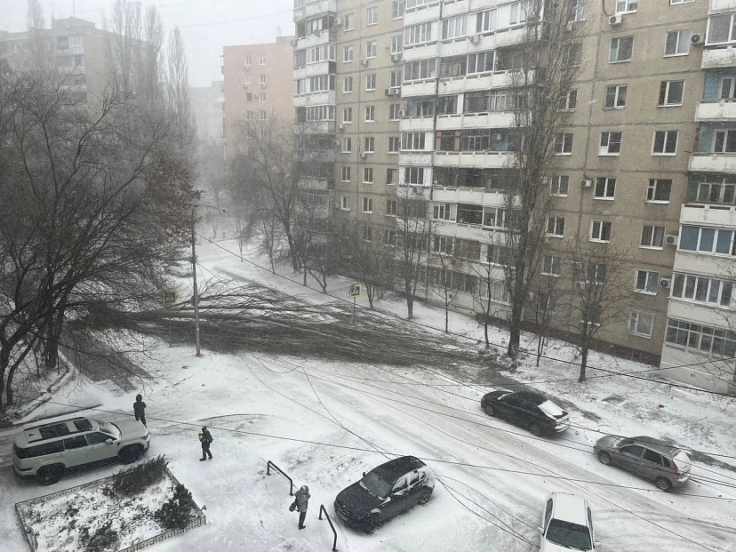 Саратовцы сообщают о поваленных деревьях и нулевой видимости на трассах  Текст: ИА "Регион 64". Жите