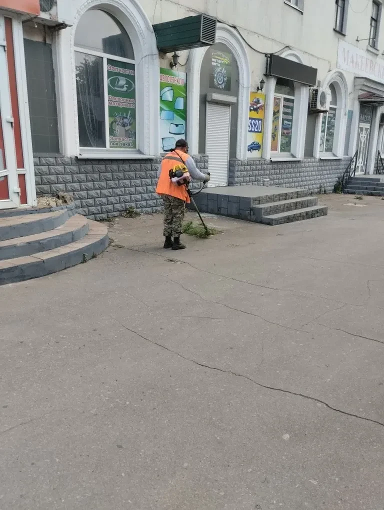 В Центрально-Городском внутригородском районе осуществляется покос сорных и карантинных трав. Работы