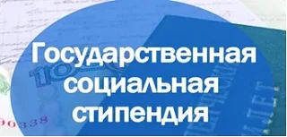 Государственная социальная помощь в Пензенской области в виде ежегодного социального по...