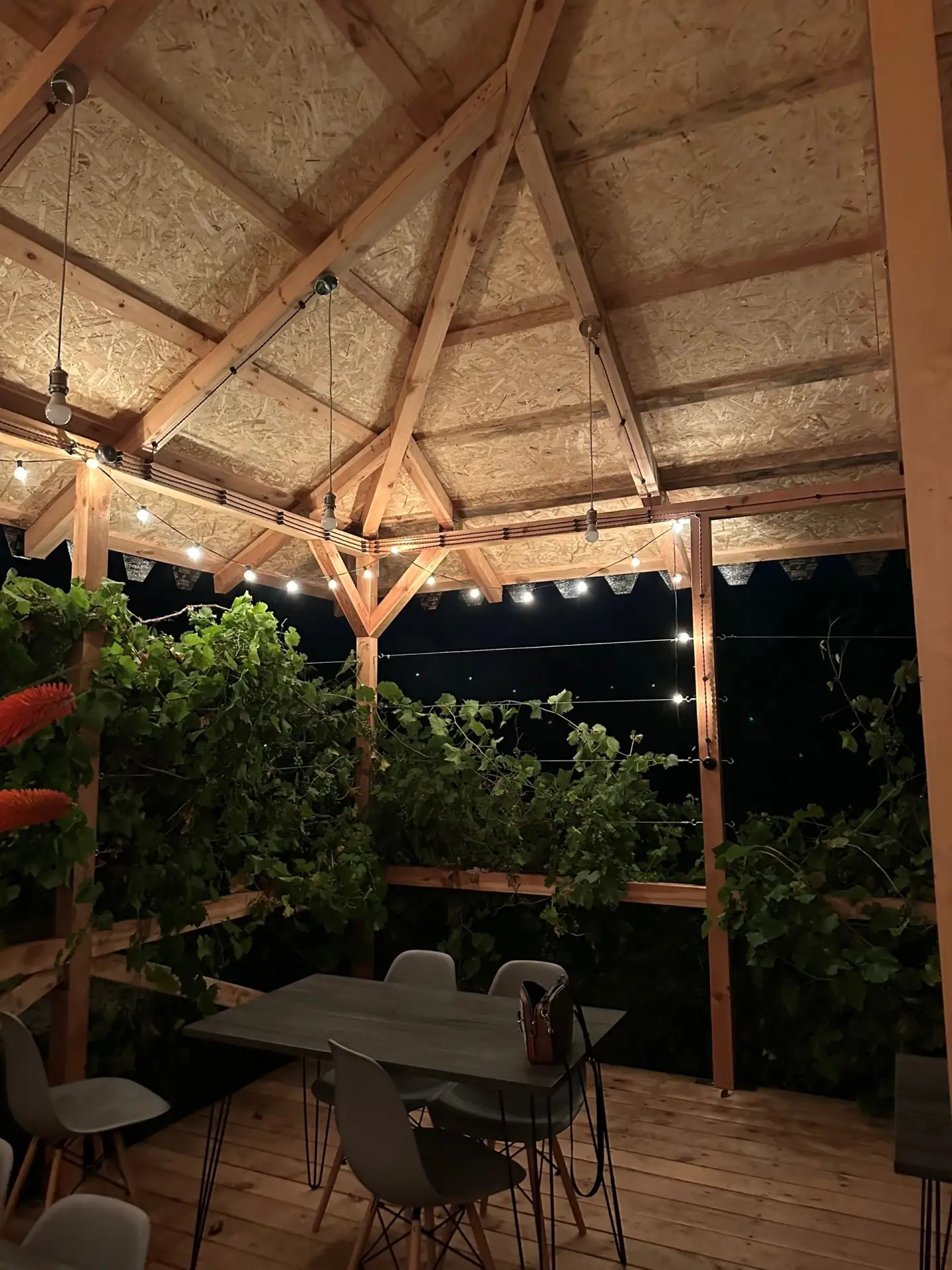 #ЦАНДРИПШ  Добро пожаловать 🫶 в наши гостевые домики «АЛИША» 🏡 расположенные, в поселке Цандрипш, в 