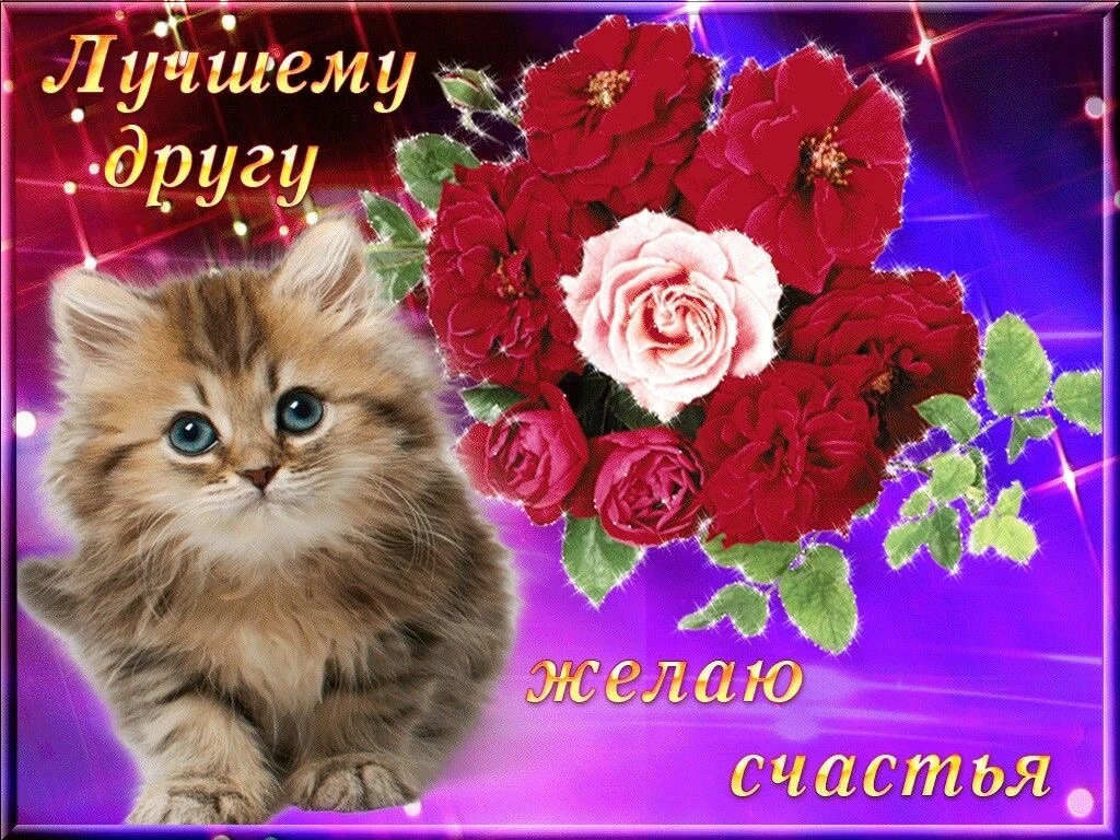 Список качественных каналов в МАХ | Подпишись!❤️