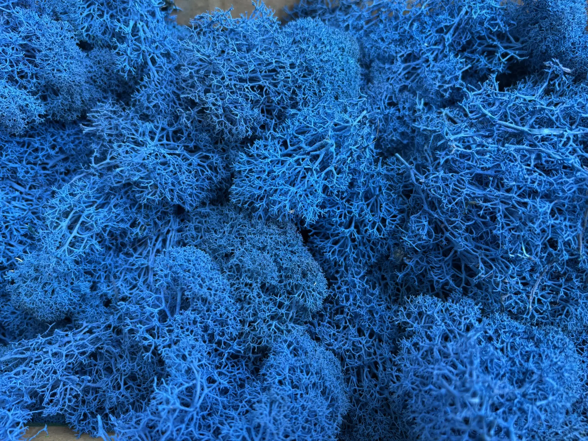 Цвет настроения — Deep Blue 💎🌿