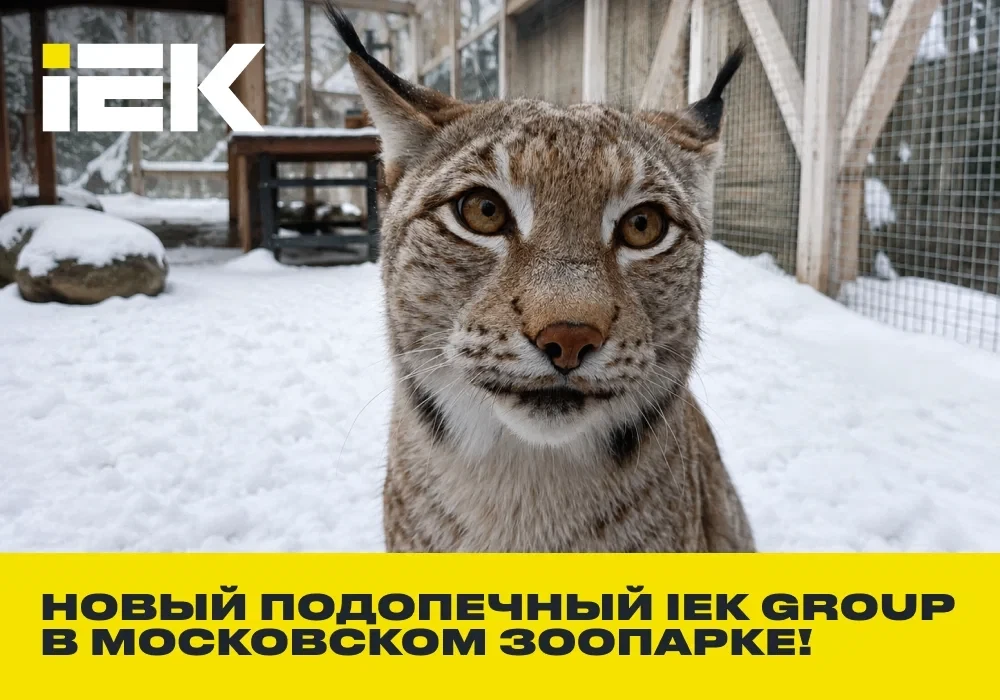 🐾 Знакомьтесь, это Тыковка — наш новый подопечный в Московском зоопарке!

Корпоративная традиция за