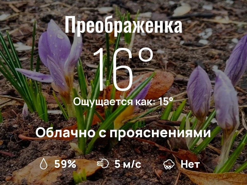 Что с погодой в Преображенском?