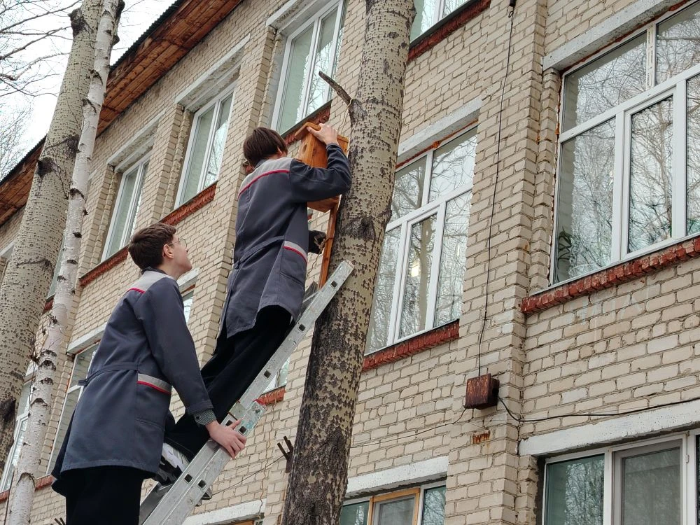Встречаем перелетных птиц 🐦🐤  🙋‍♂️🙋‍♂️ Сегодня на нашем школьном дворе большое оживление. Ученики  8