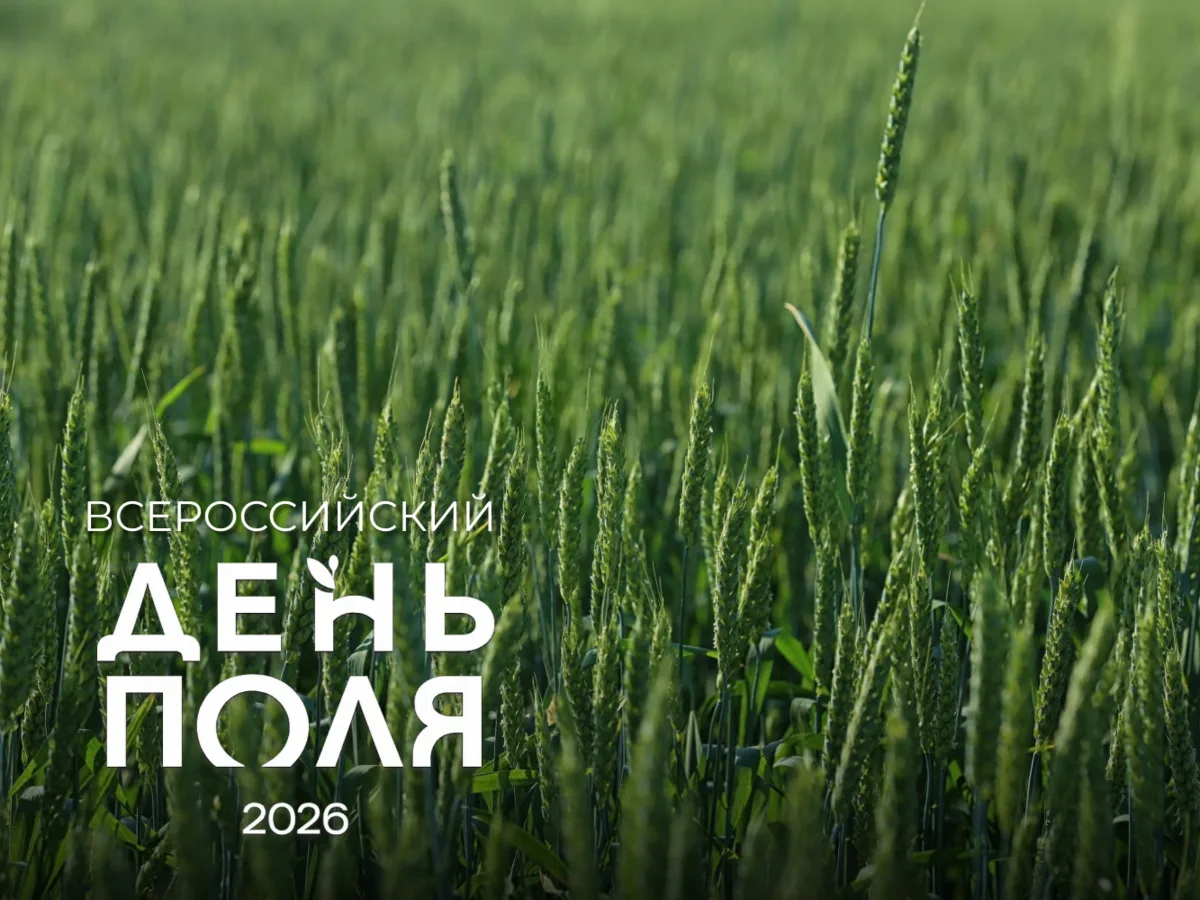 Меньше недели остаётся до главного события лета. Всероссийский День поля стартует 16 июля в Сибирско