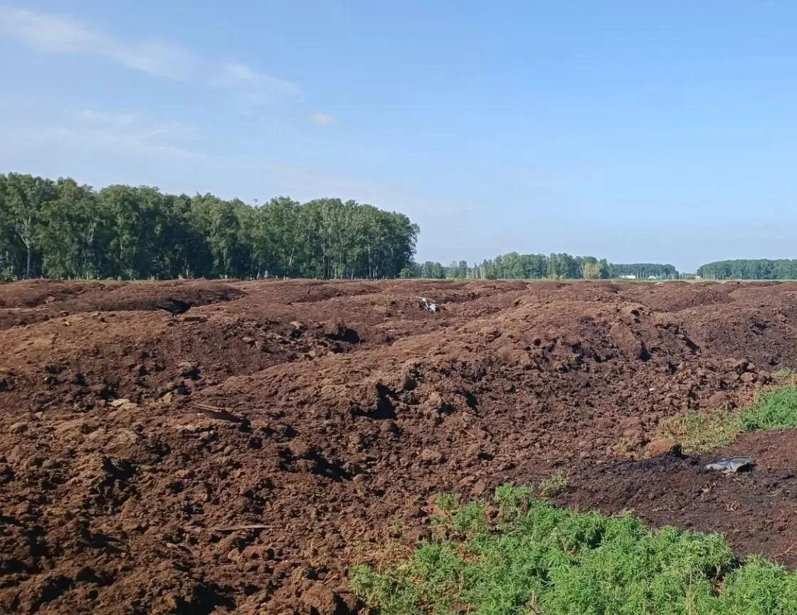 В селе под Омском нашли свалку навоза, загрязняющую почву в поле

В Ульяновке Омского района специал