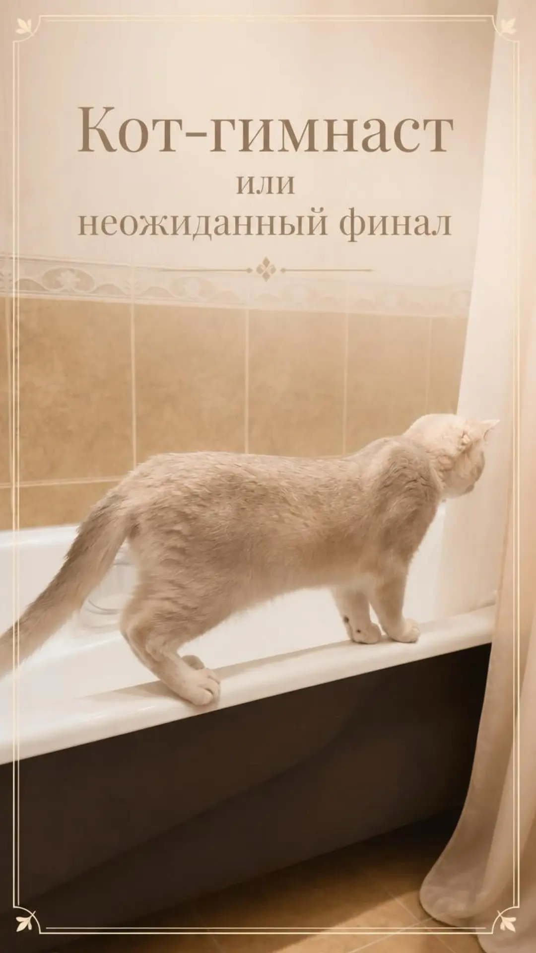 Если что, у кота все целое 👌 все на месте 🤗 чувствует себя хорошо!