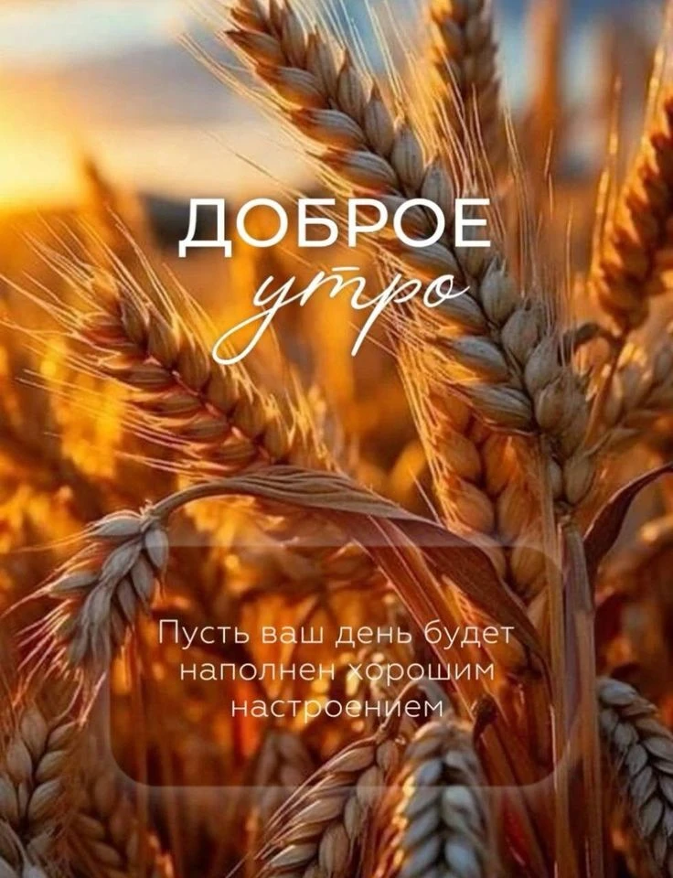 Теплого, солнечного вам настроения!.