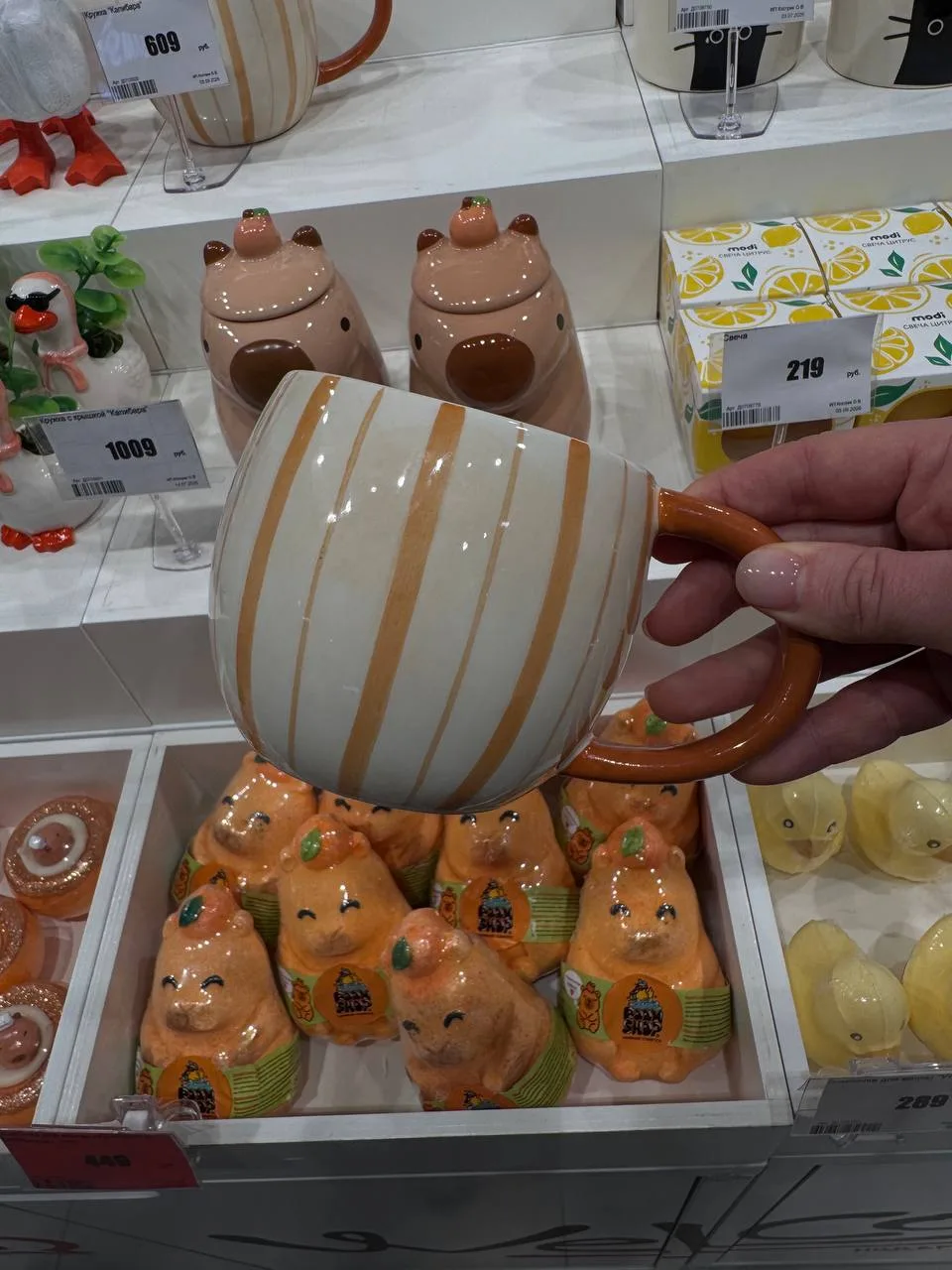 Modi красота 😍🫶🏼