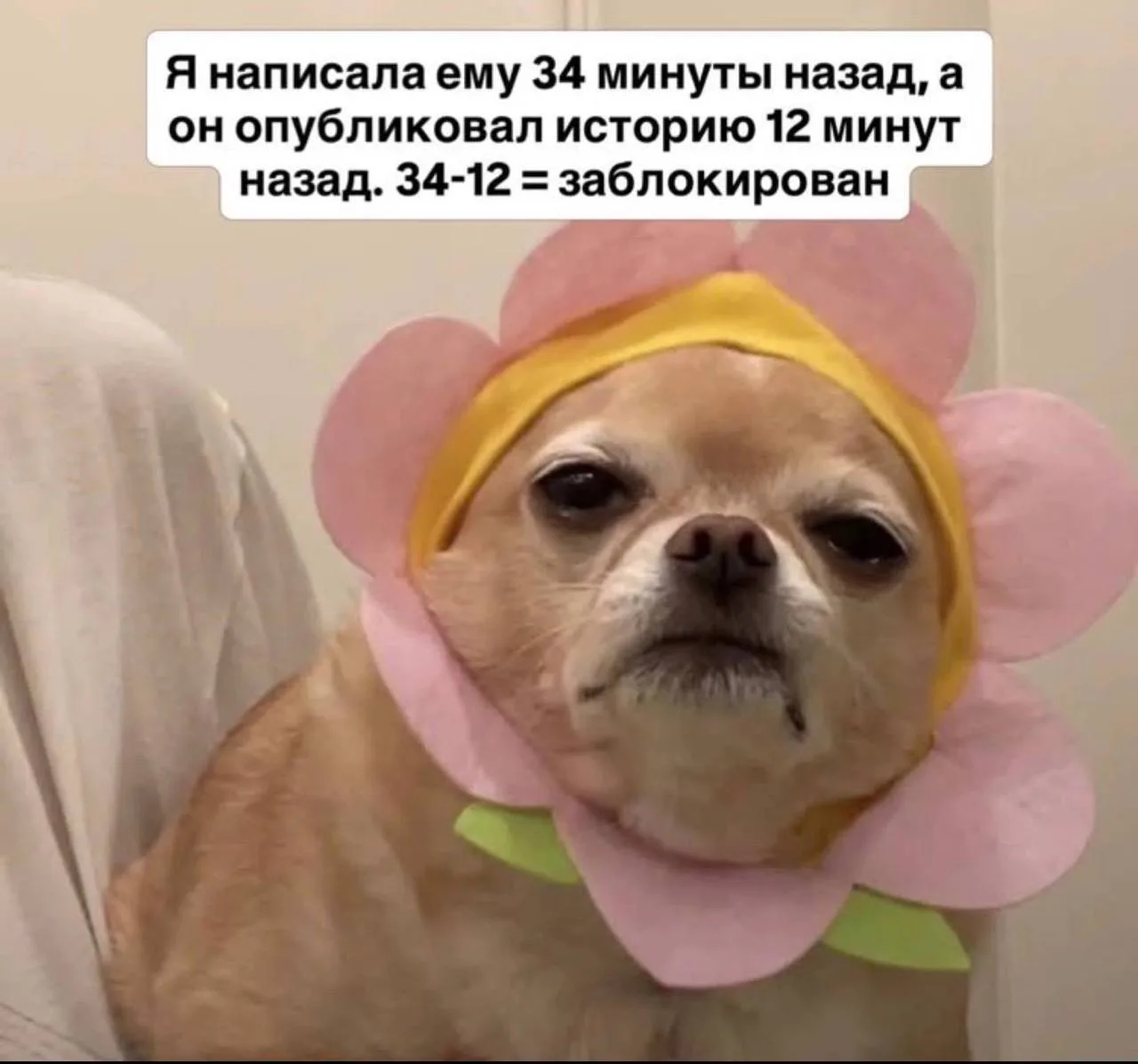 Приехала на пляж на велике и моим внимаем завладела вот эта совершенно очаровательная ж...