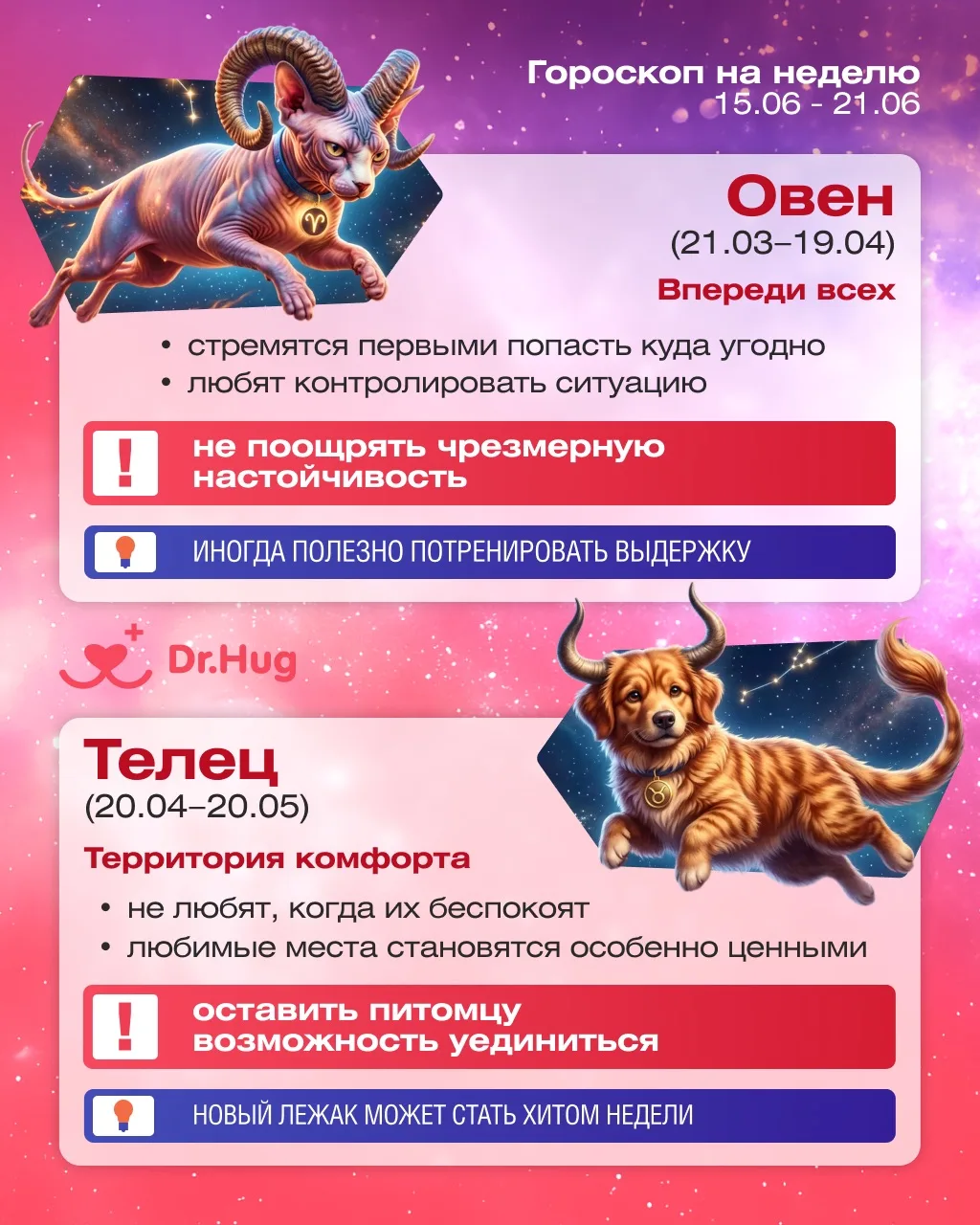 🔮 Гороскоп для хвостиков на неделю 15.06 – 21.06 🔮

✨ Новая неделя - новые приключения, вкусняшки,