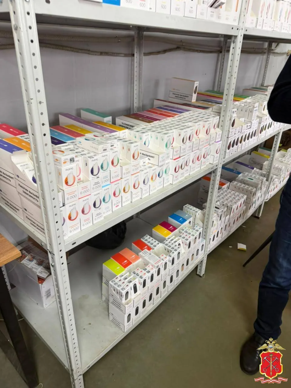 🤯 В Ленобласти задержали женщину с более чем 80 тысячами пачек сигарет и вейпов