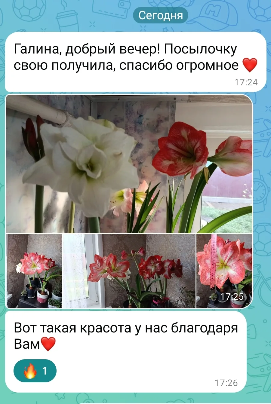 Доброе утро, мои хорошие.