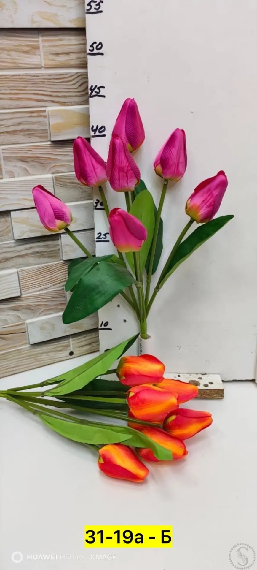 https://vk.com/photo-184814919_493495352
