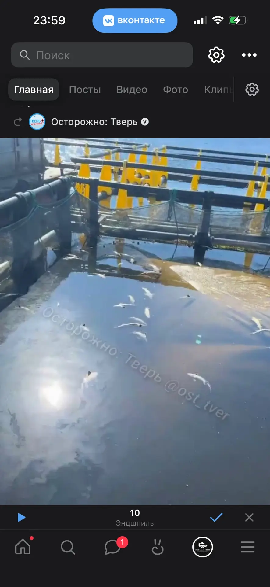 Еще дебилы подъехали 🤬 
Ну Вы серьезно что ли ?
Блять 📢📢📢 Малахов возьми на первый или на каком 