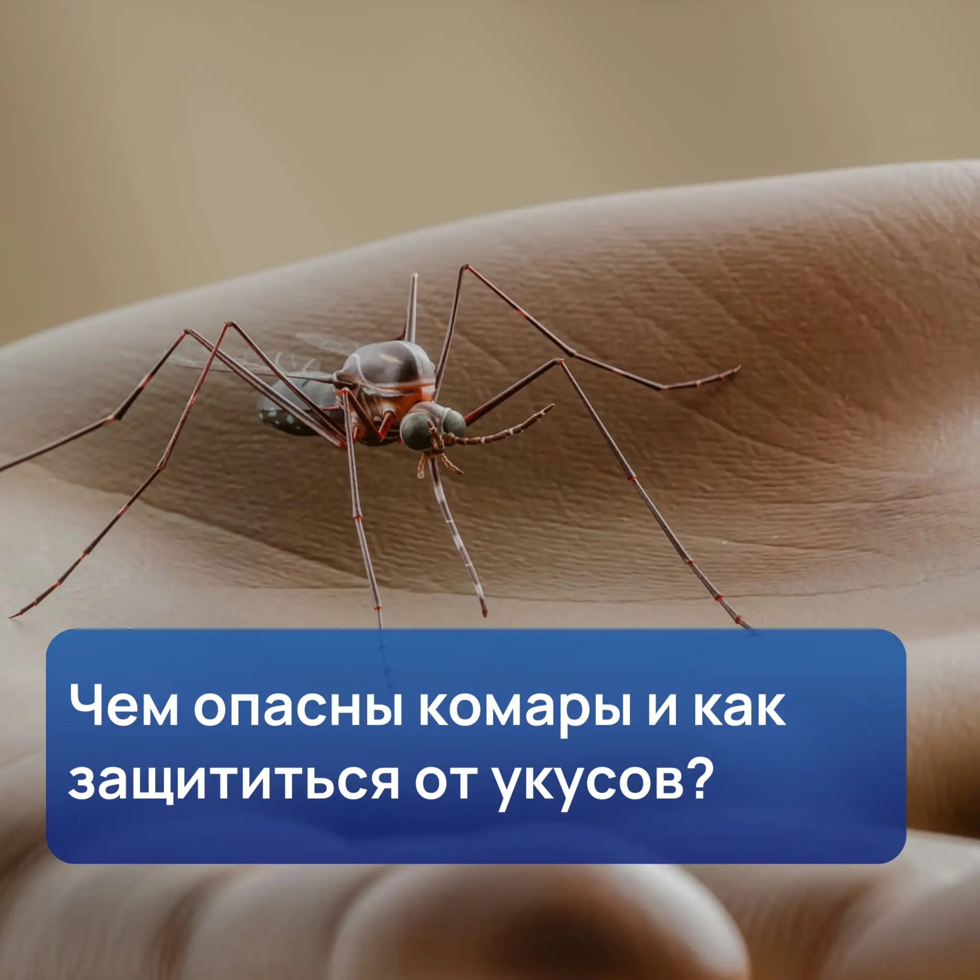 Изображение 1 к публикации «Администрация Йошкар-Олы»