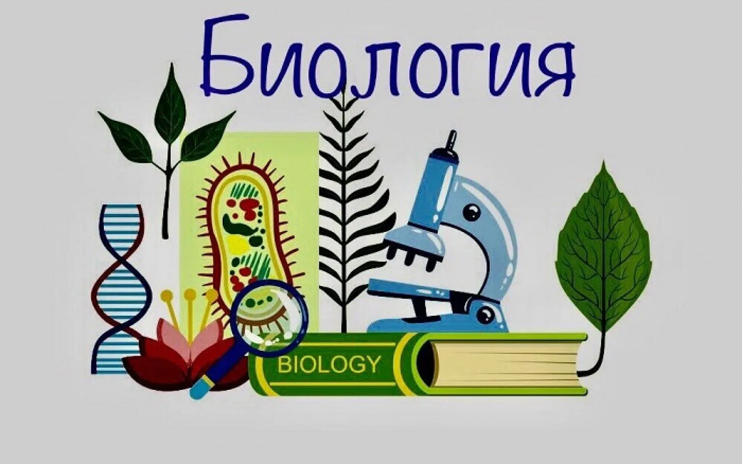 15 июня - наши выпускники 11 класса сдают ЕГЭ по биологии- Удачи Вам!!!                             
