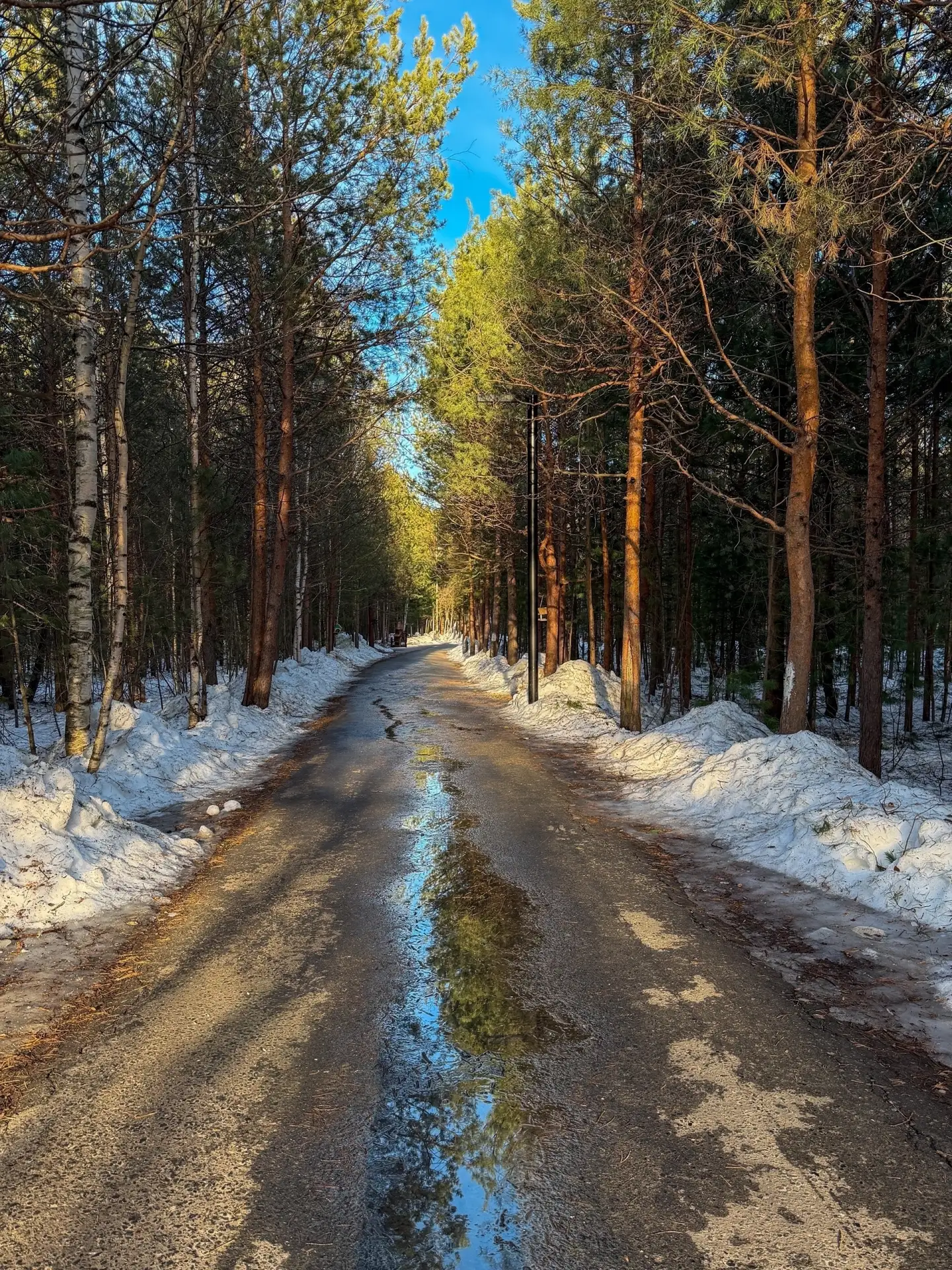✨ День подходит к концу — пусть он унесёт с собой тревоги, а оставит лишь приятные воспоминания.  📸❤