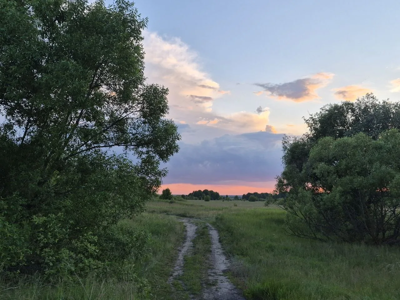 Борисоглебский район