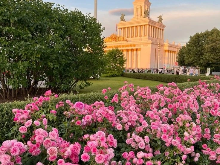 🌸 Доброе утро!